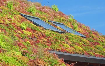 Lower Norton living roof systems