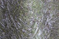 Lower Norton fibreglass roof work